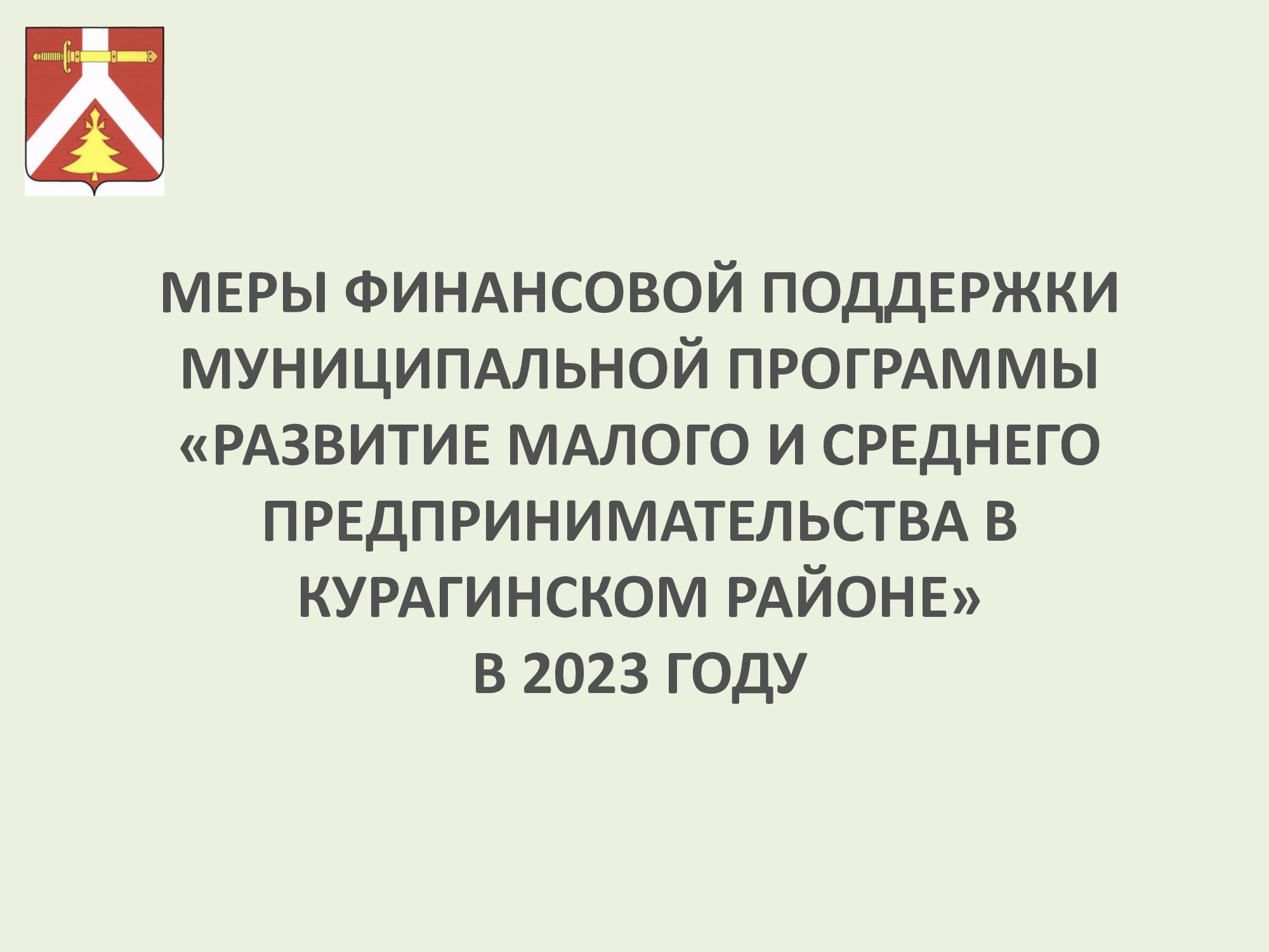 Презентация &quot;Меры финансовой поддержки 2023&quot;.