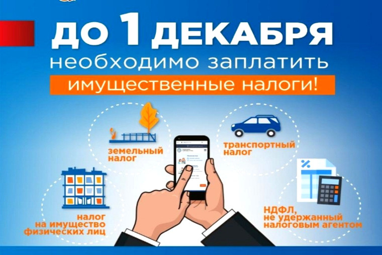 Уплатить налоги до 1 декабря. Уплатить налоги до 1 декабря.